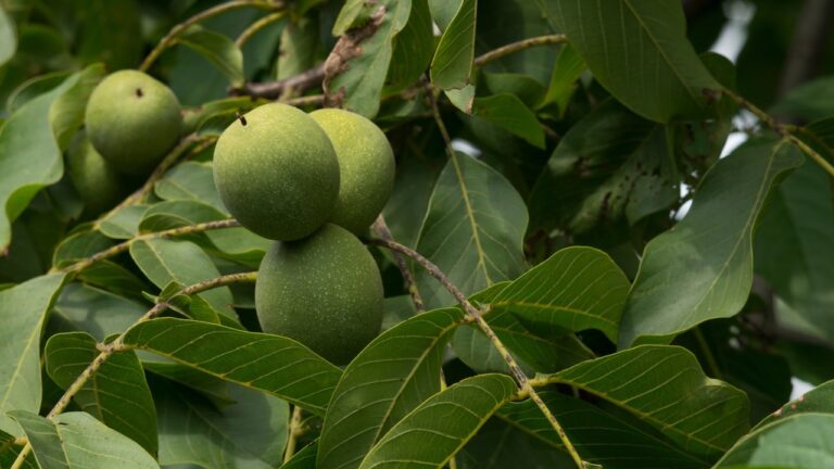 84E1484F-E997-4B49-A23B-6BED6D79F51E