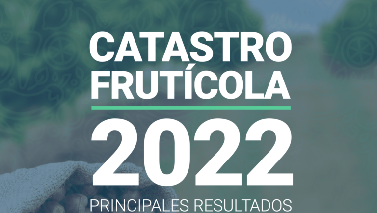 Captura-de-Pantalla-2022-12-28-a-las-01.11.38