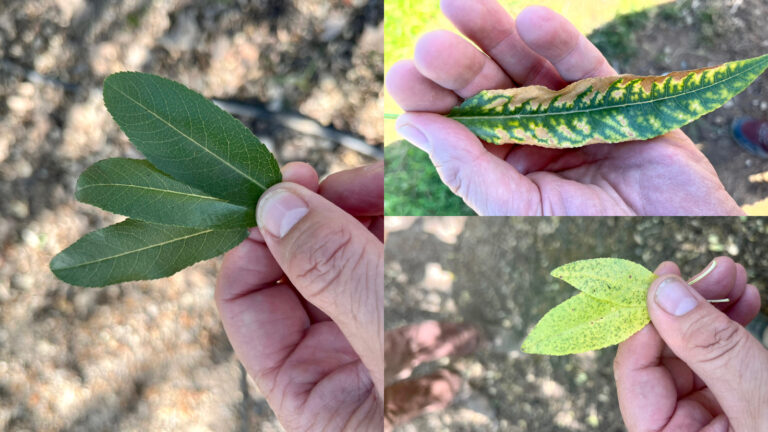 78EE45D4-6928-4374-8740-07F5474154A1