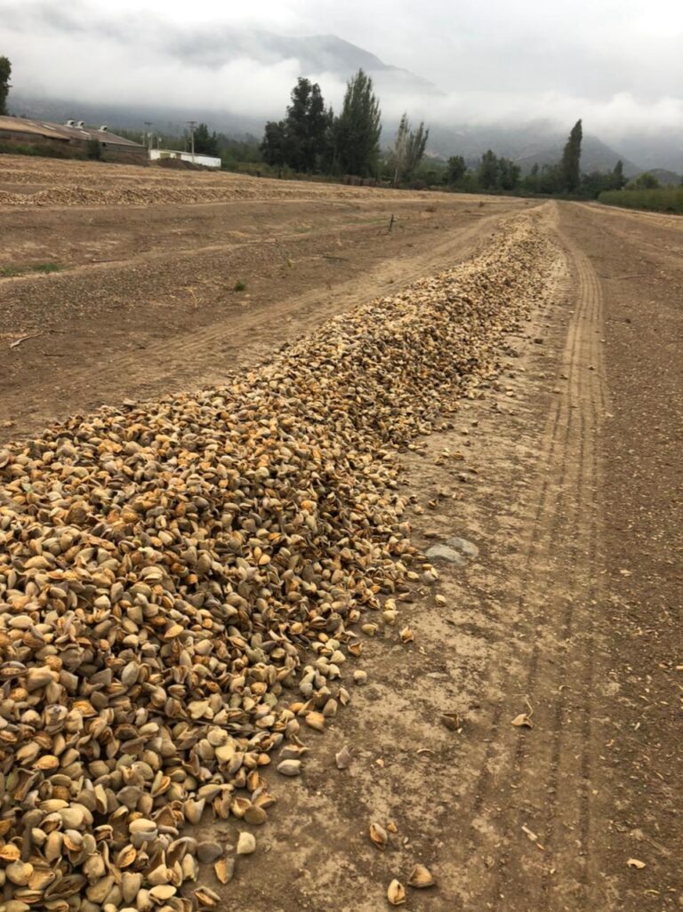 PHOTO-2022-12-22-10-56-33