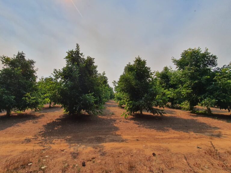 PHOTO-2023-02-09-18-31-57