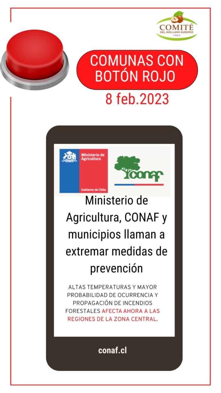 WhatsApp-Image-2023-02-08-at-16.04.49