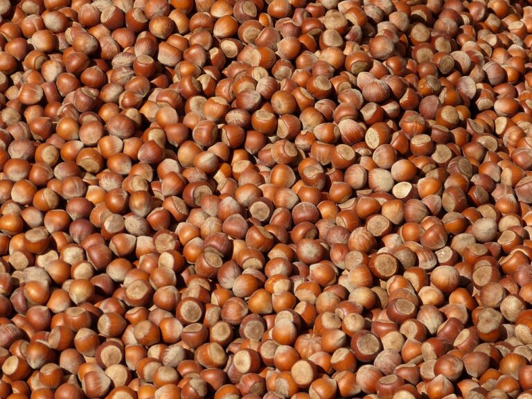 hazelnuts-g960ac3e80_1280