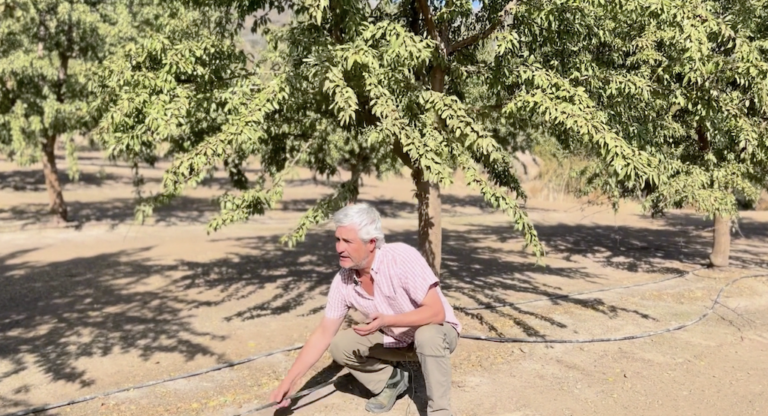 Captura de Pantalla 2023-04-18 a la(s) 17.32