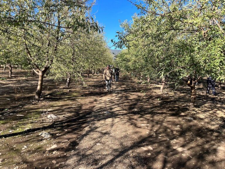 PHOTO-2023-05-05-17-27-52