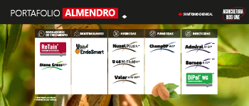 ALMENDRO