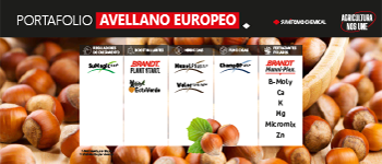 AVELLANO