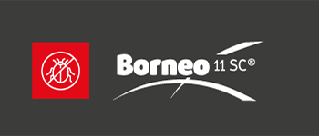 BORNEO