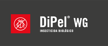DIPEL