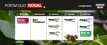 NOGAL