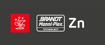 ZN