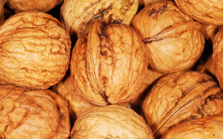 walnuts-101462_1280