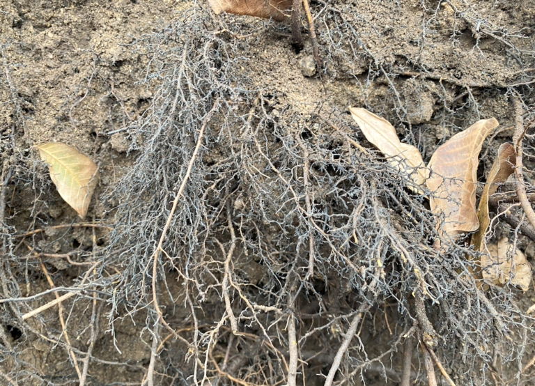 Captura de Pantalla 2023-11-13 a la(s) 18.38