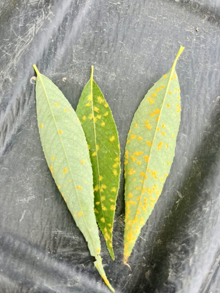 b8b3a8f9-977f-47d6-b6fc-38d3ffbc9cd2