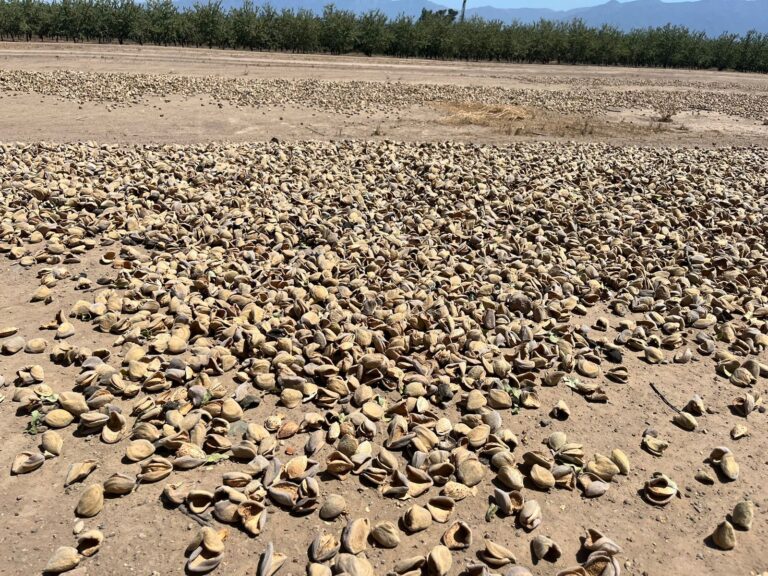 PHOTO-2023-02-27-17-55-56 2