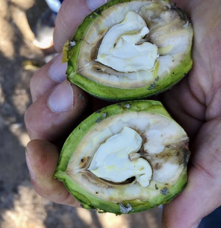 9993b45d-1ea5-4948-ae17-c6dbc21c92cc