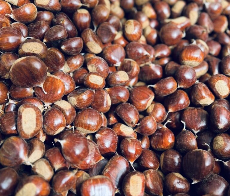 87522630-6cb7-4de0-93e8-8672c010dcd5