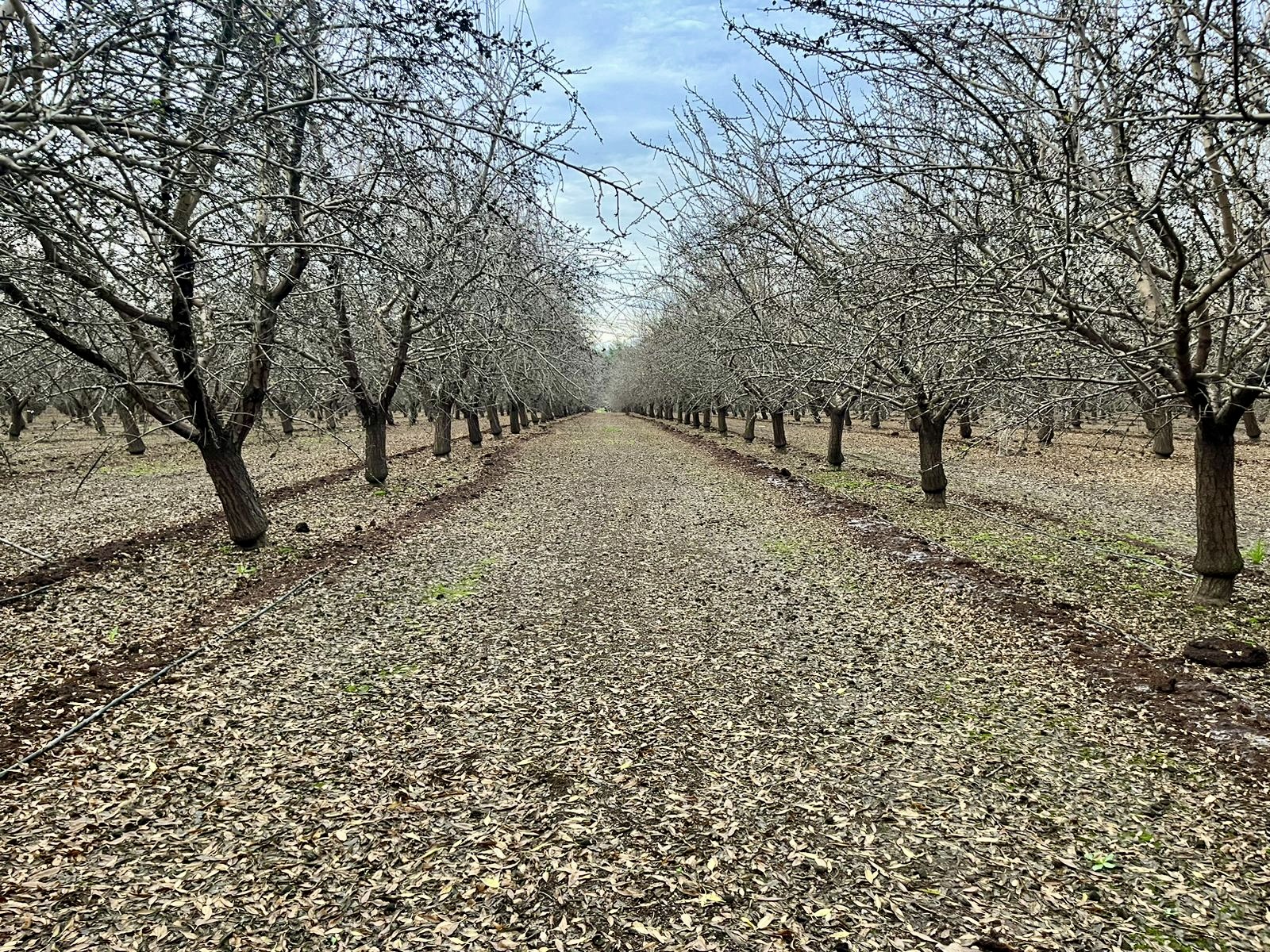 634557d2-2ecf-49d6-868f-7f651e46065b