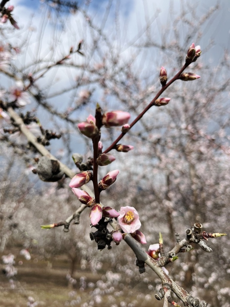 2ae12482-8ea5-42a1-abc9-4475e86bea80 3