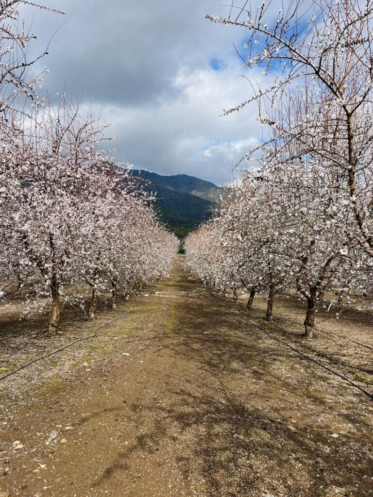 e62d9c11-4e16-4624-862b-67d676812348 2