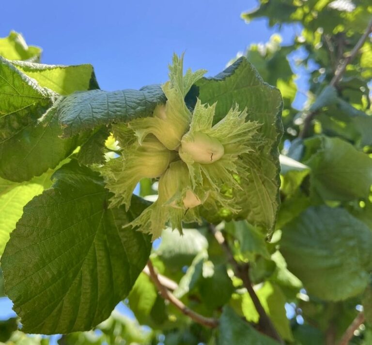 f8e63099-f50e-4ebb-b78b-87aa38984ed6