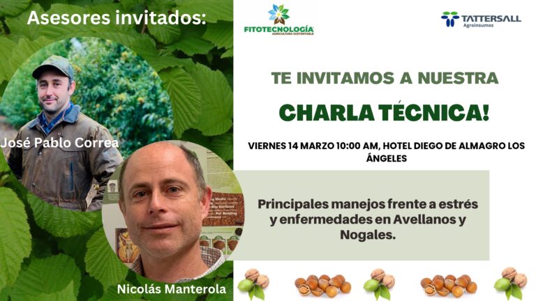 Green and Dark Green Minimalist Restoring The Forest Presentation