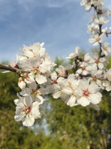 20db7496-ac0b-4912-9a74-531f903d9f46