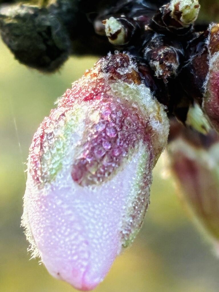 2fce670d-d66c-4657-abd5-5037e02399b6