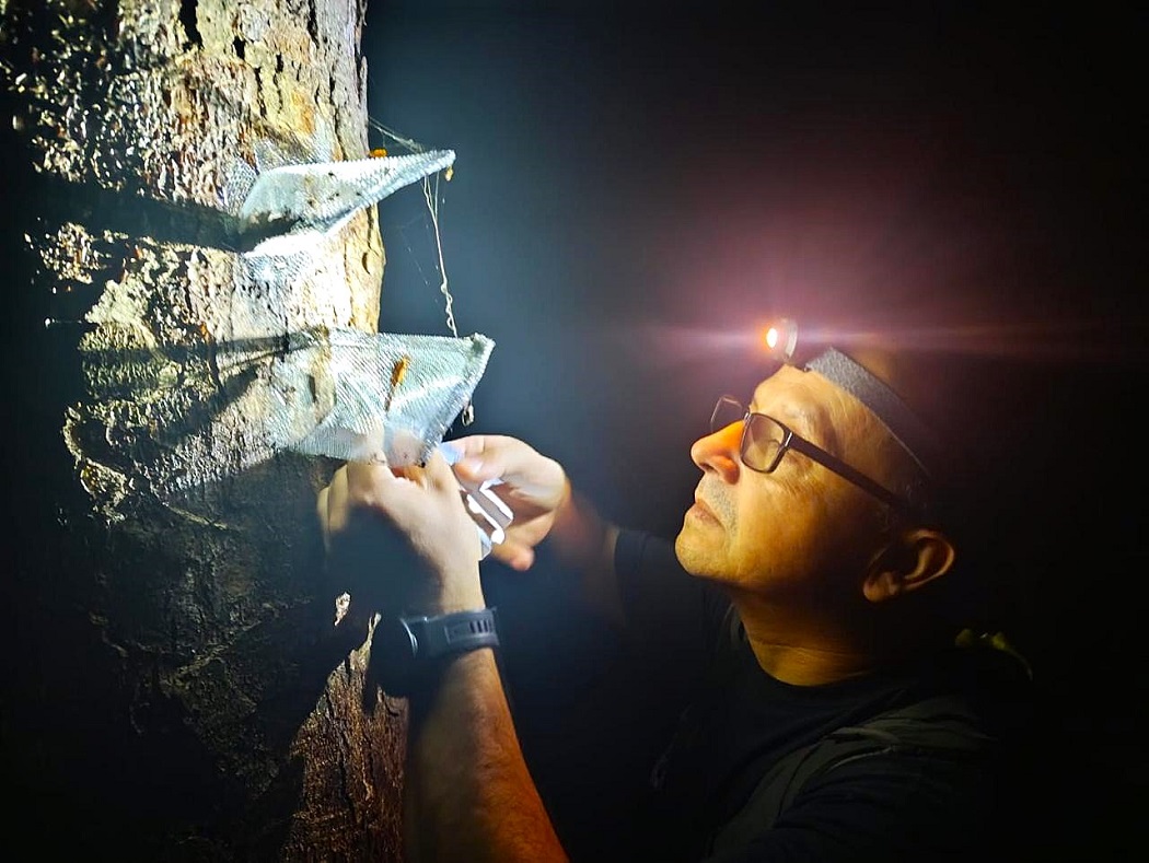 Ricardo Ceballos, investigador INIA Quilamapu 3