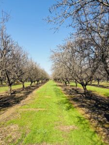 adaf3f79-d9df-4498-93cd-ca670b0e9fb6 2