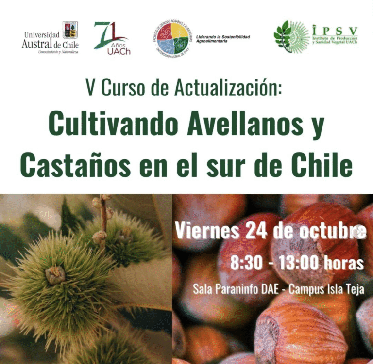 Captura de pantalla 2025-09-10 a la(s) 15.48