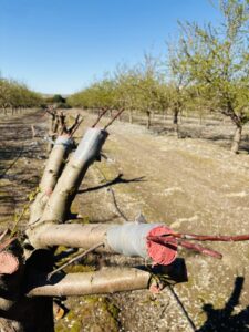 f387aed1-0914-4682-827e-583692cef312