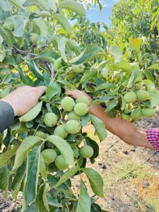 02f72791-4305-46af-a515-667031a641b3 2