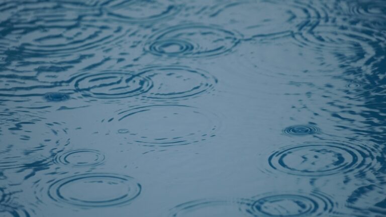 mylene2401-rain-8098723_1280