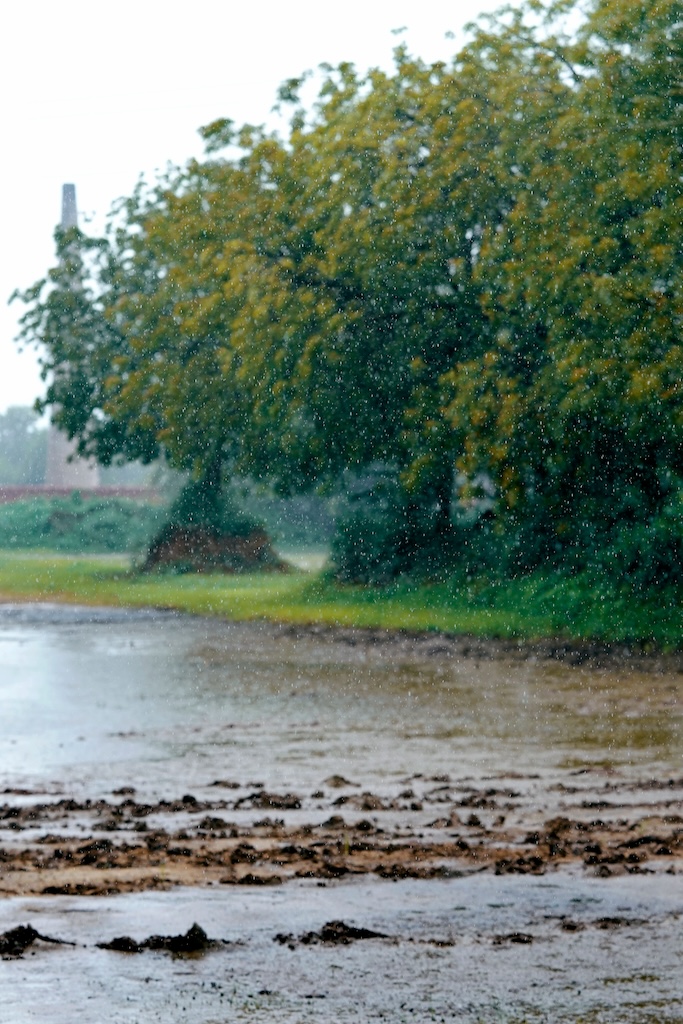 pexels-ankit-rainloure-1425442-28111911